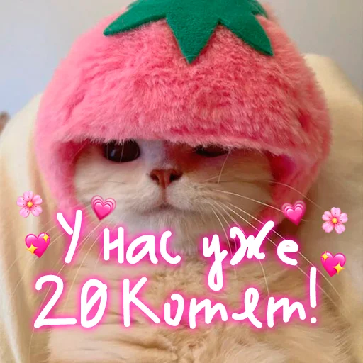 😺 Стикер «My kitties» для Telegram