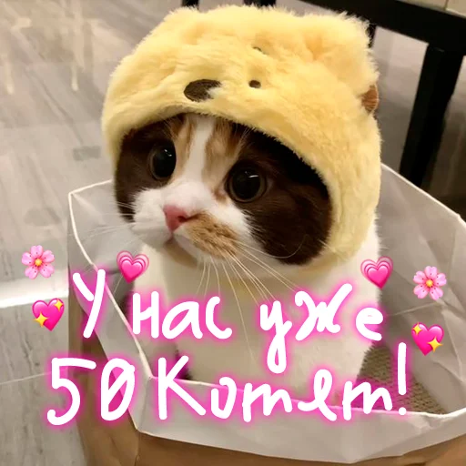 😺 Стикер «My kitties» для Telegram
