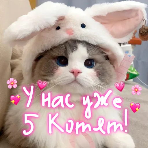 Стикерпак My kitties для Telegram