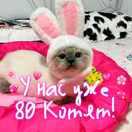 😺 Стикер «My kitties» для Telegram