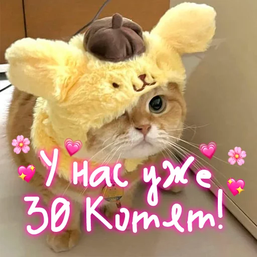 😺 Стикер «My kitties» для Telegram