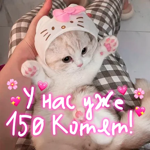 😺 Стикер «My kitties» для Telegram