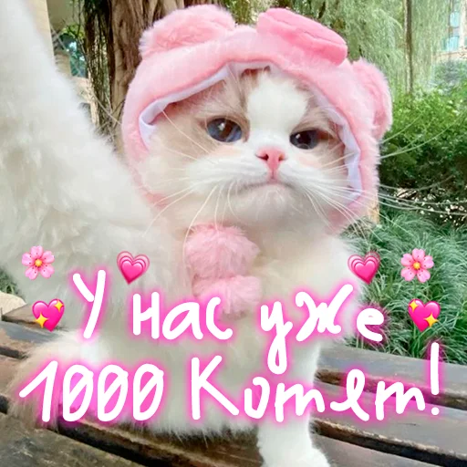 😺 Стикер «My kitties» для Telegram
