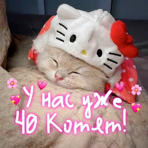 😺 Стикер «My kitties» для Telegram