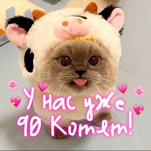 😺 Стикер «My kitties» для Telegram
