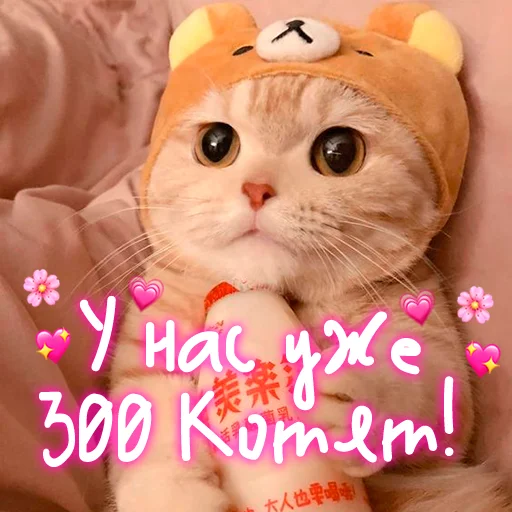 😺 Стикер «My kitties» для Telegram