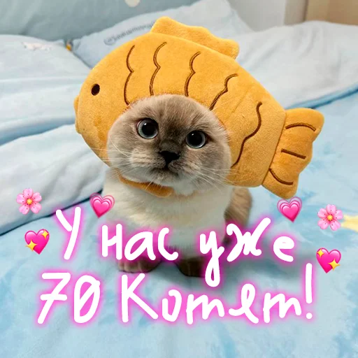 😺 Стикер «My kitties» для Telegram