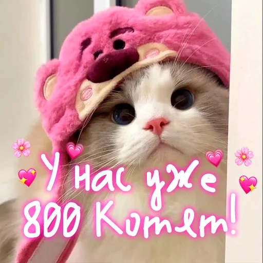 😺 Стикер «My kitties» для Telegram