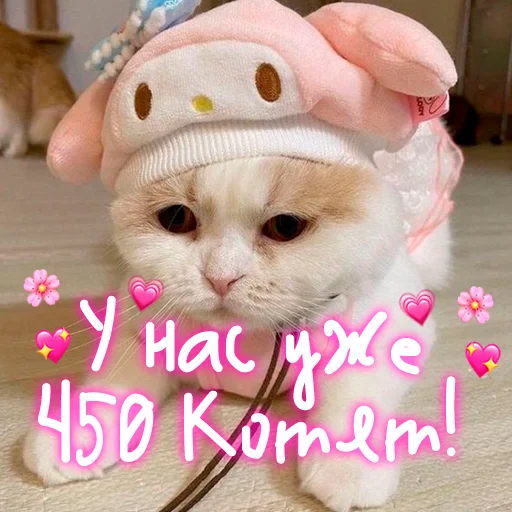 😺 Стикер «My kitties» для Telegram