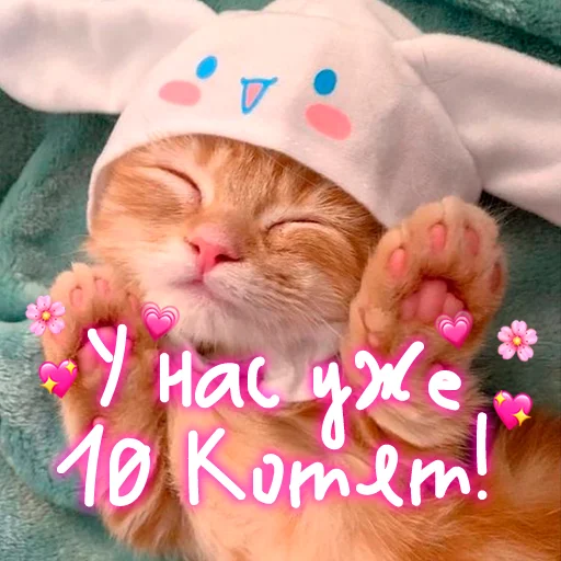 😺 Стикер «My kitties» для Telegram