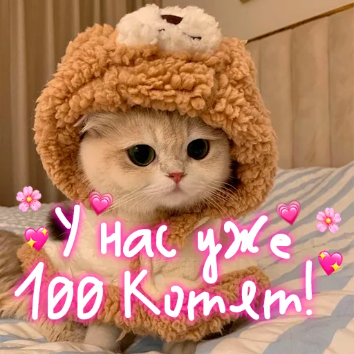 😺 Стикер «My kitties» для Telegram