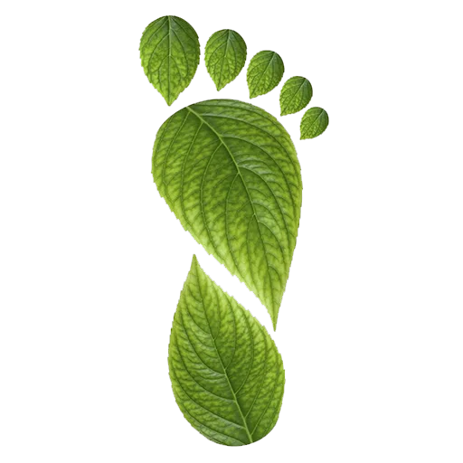 👣 Стикер «Forest Fairy» для Telegram