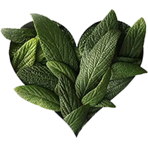 💚 Стикер «Forest Fairy» для Telegram