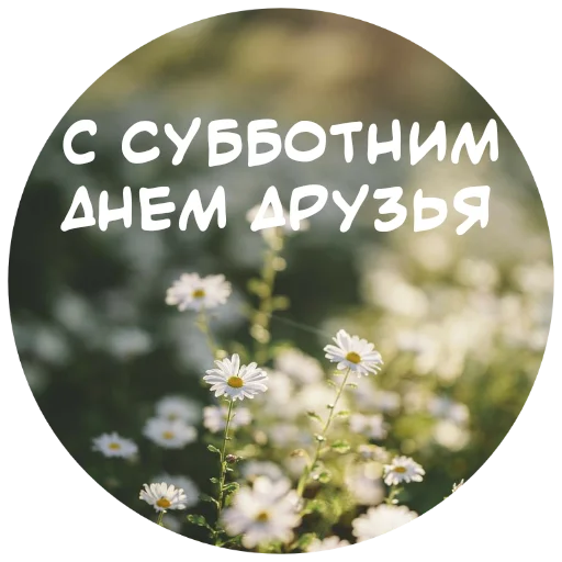 🙏 Стикер «For My Friends» для Telegram
