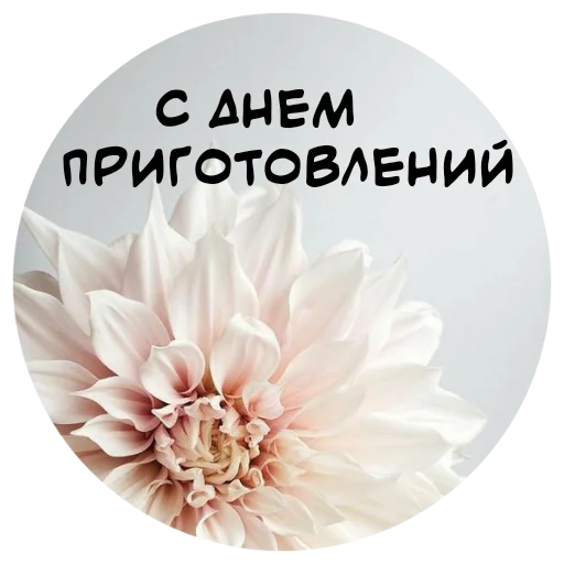 🙏 Стикер «For My Friends» для Telegram