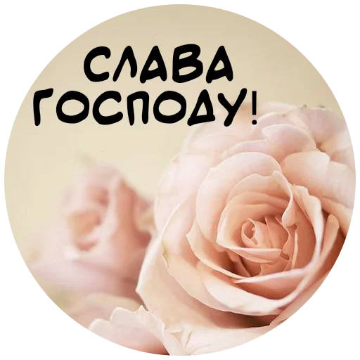 🙏 Стикер «For My Friends» для Telegram