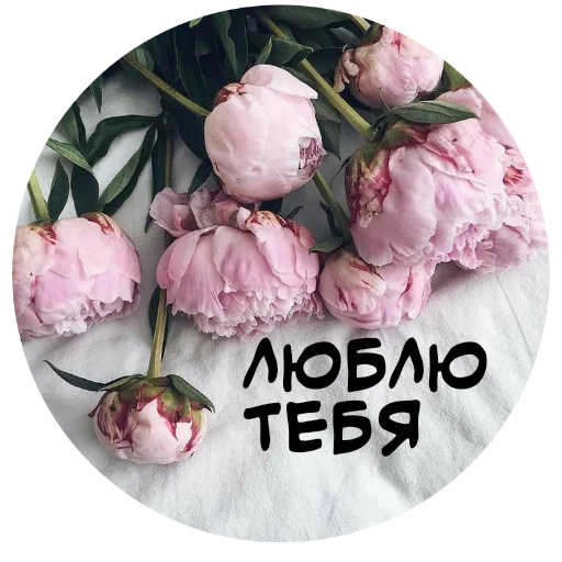 😘 Стикер «For My Friends» для Telegram