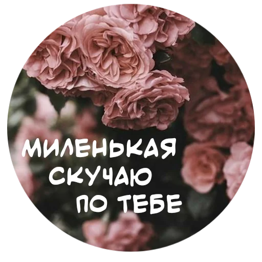 😘 Стикер «For My Friends» для Telegram
