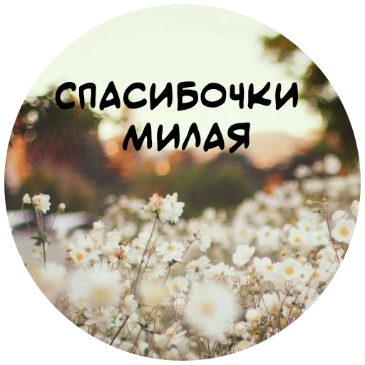 😘 Стикер «For My Friends» для Telegram