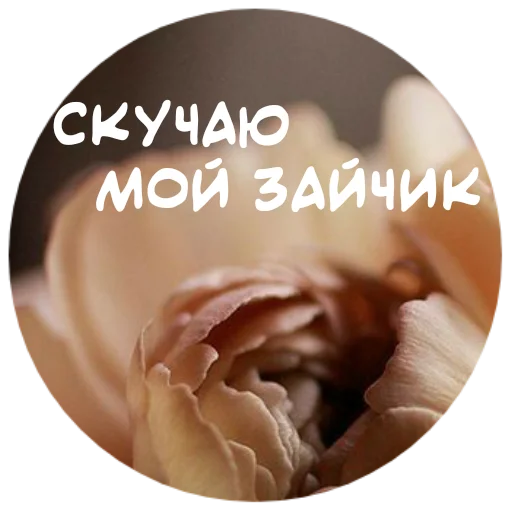 😍 Стикер «For My Friends» для Telegram