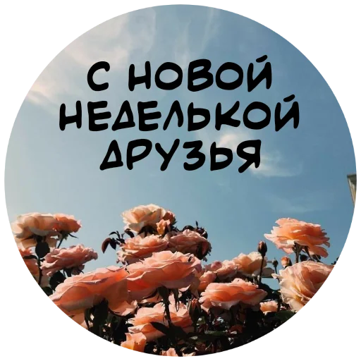 👋 Стикер «For My Friends» для Telegram
