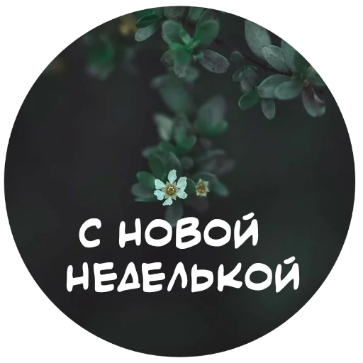 👋 Стикер «For My Friends» для Telegram