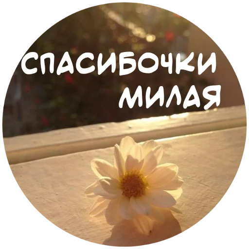 😘 Стикер «For My Friends» для Telegram