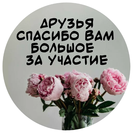 🙏 Стикер «For My Friends» для Telegram