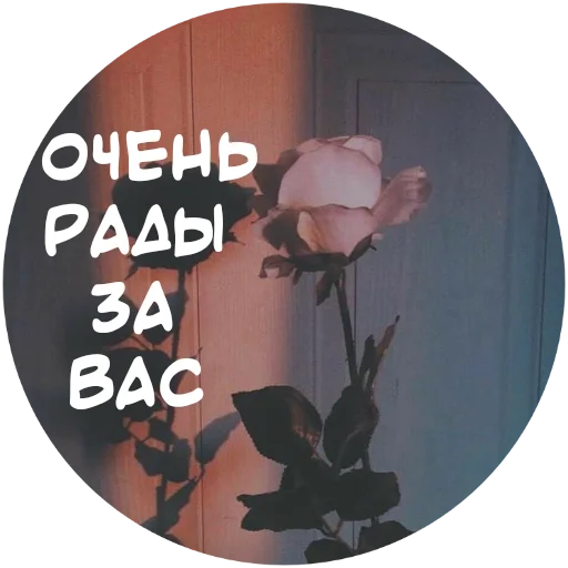 🙏 Стикер «For My Friends» для Telegram