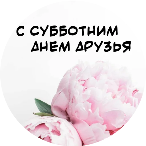 👋 Стикер «For My Friends» для Telegram