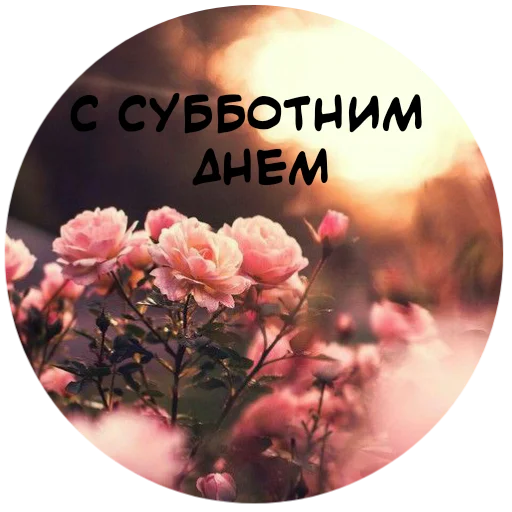 🙏 Стикер «For My Friends» для Telegram