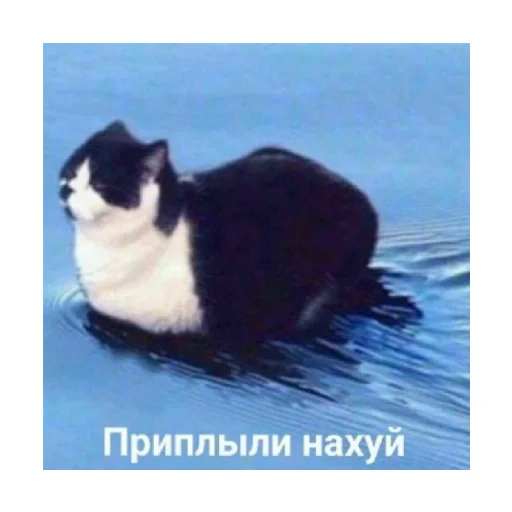 🗿 Стикер «For every occasion 2» для Telegram