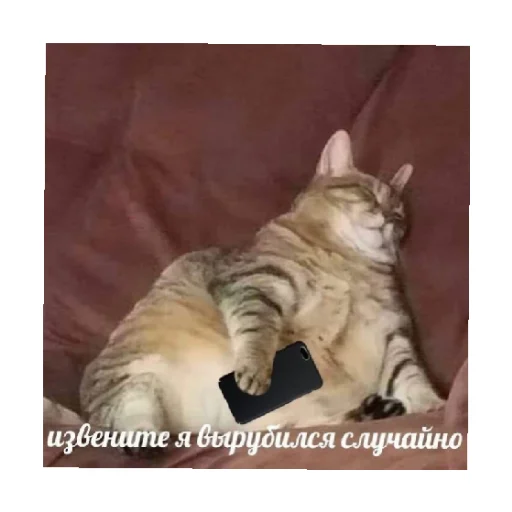 😴 Стикер «For every occasion 2» для Telegram