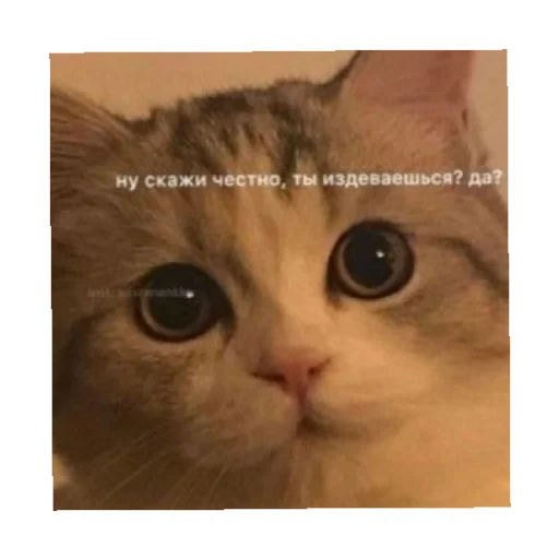 😠 Стикер «For every occasion 2» для Telegram