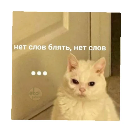 🗿 Стикер «For every occasion 2» для Telegram
