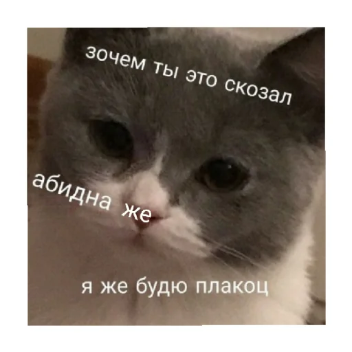 😢 Стикер «For every occasion 2» для Telegram