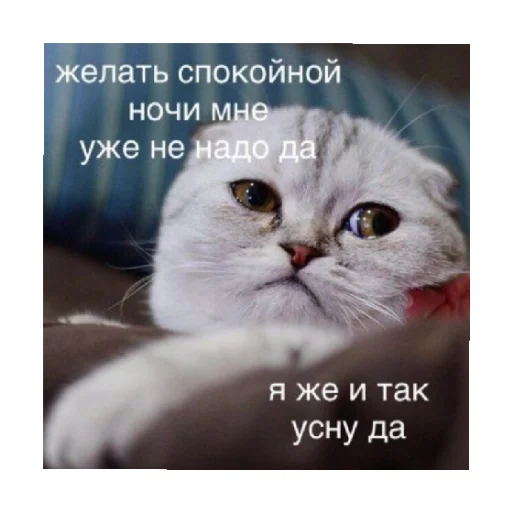 😒 Стикер «For every occasion 2» для Telegram