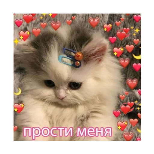 🥺 Стикер «For every occasion 2» для Telegram
