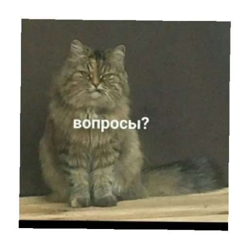 🤨 Стикер «For every occasion 2» для Telegram