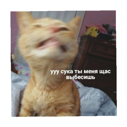 🤬 Стикер «For every occasion 2» для Telegram