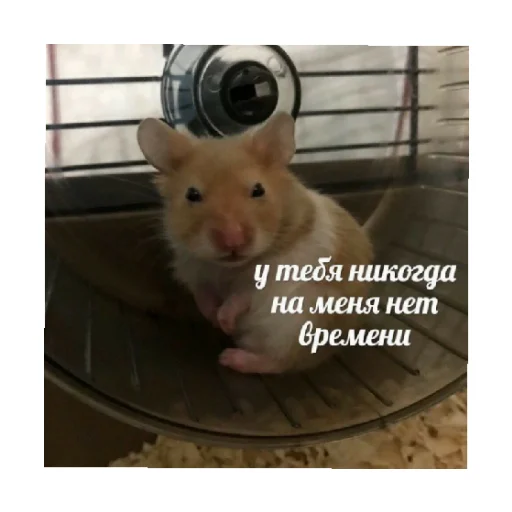 😒 Стикер «For every occasion 2» для Telegram