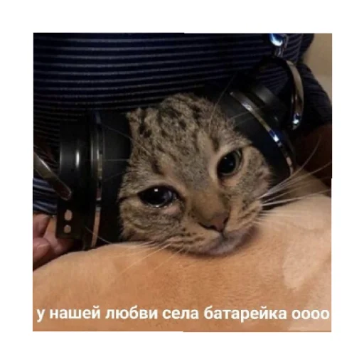 😭 Стикер «For every occasion 2» для Telegram