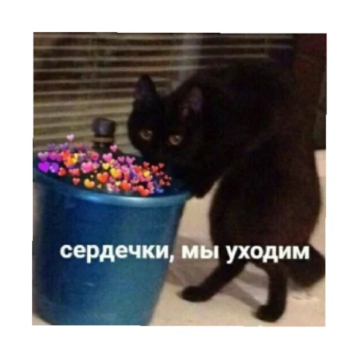 😢 Стикер «For every occasion 2» для Telegram