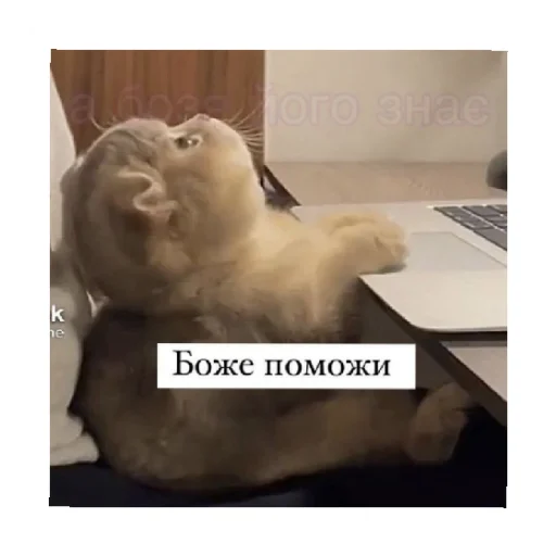 🙏 Стикер «For every occasion 2» для Telegram