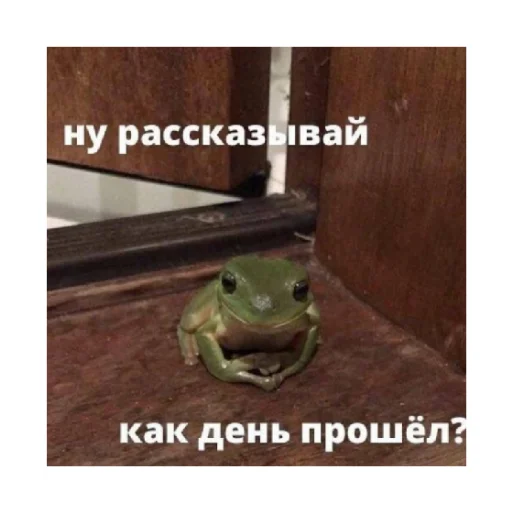 😅 Стикер «For every occasion 2» для Telegram