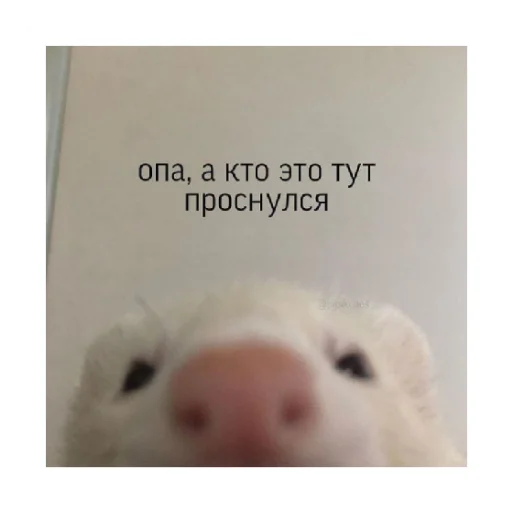 🥰 Стикер «For every occasion 2» для Telegram
