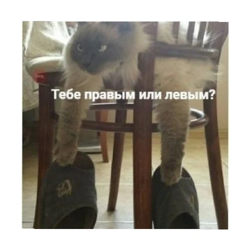 😡 Стикер «For every occasion 2» для Telegram
