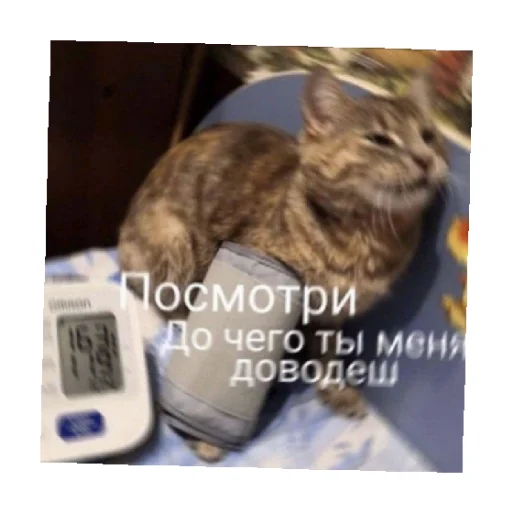 😢 Стикер «For every occasion 2» для Telegram