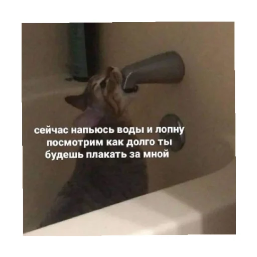 😒 Стикер «For every occasion 2» для Telegram