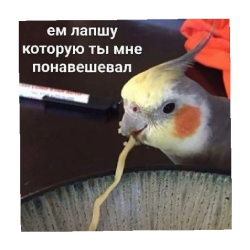 😑 Стикер «For every occasion 3» для Telegram